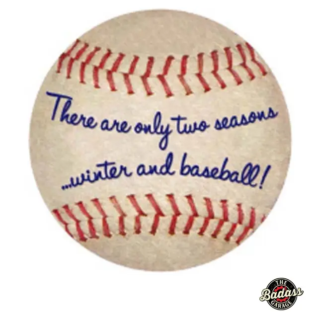 Two Seasons Baseball Domed Metal Sign